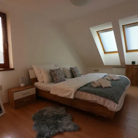 Old Town Loft 布拉迪斯拉发