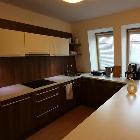 Old Town Loft 布拉迪斯拉发